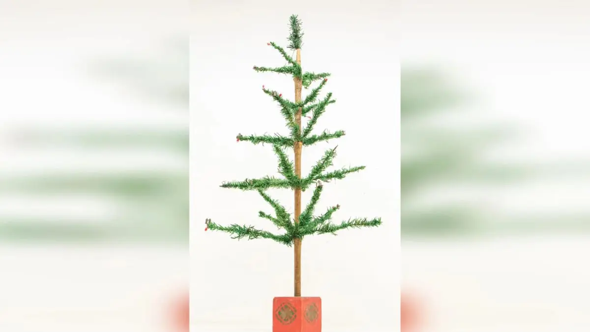 بيع شجرة عيد الميلاد الأكثر تواضعًا في العالم في مزاد علني بسعر خيالي