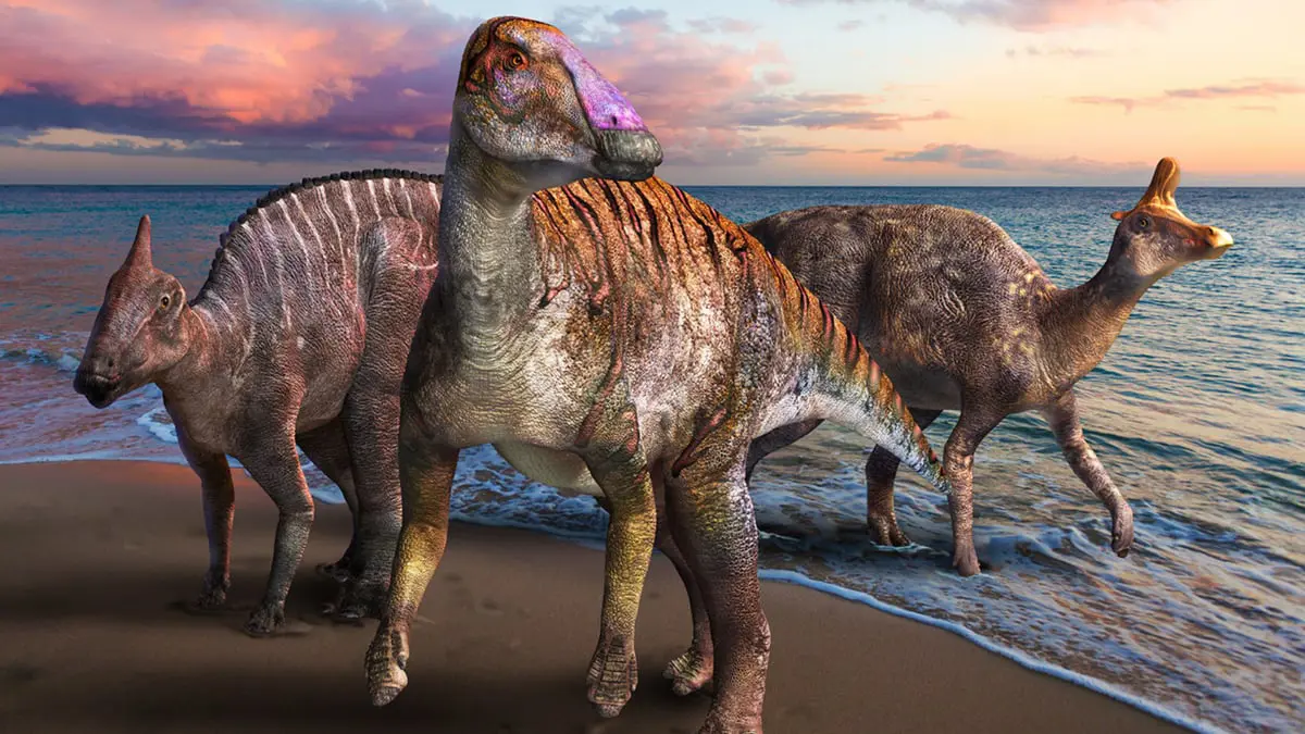 العثور على بقايا ديناصور من نوع جديد بأمريكا اللاتينية