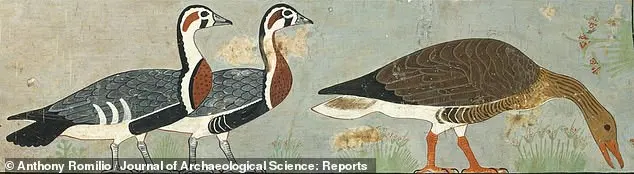 01e23fa0-95ff-4362-a875-6aa351e43faa