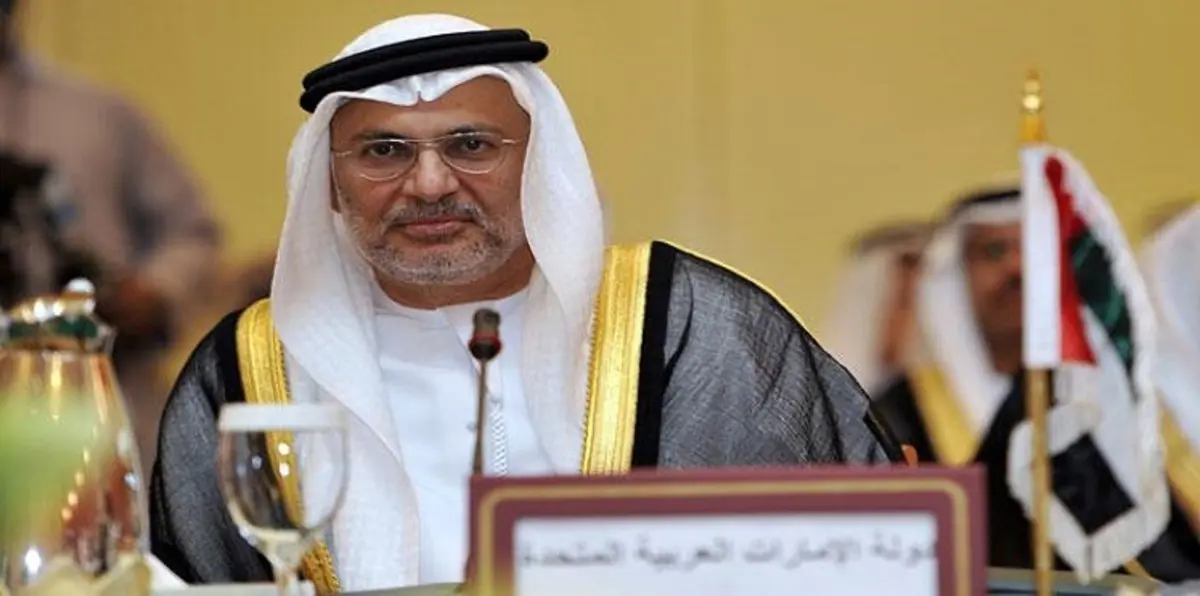 قرقاش: اجتثاث "الإرهاب" هدف عربي مشترك