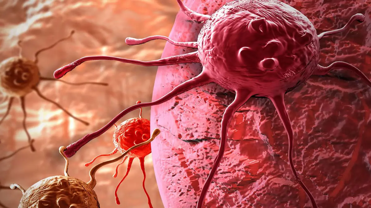 علماء يحفزون تحول الخلايا السرطانية العدوانية إلى خلايا صحية 