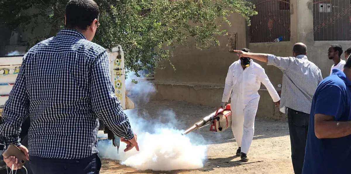 وزير الصحة: 224 حالة إصابة مؤكدة بحمى الضنك في مصر.. ولا وفيات