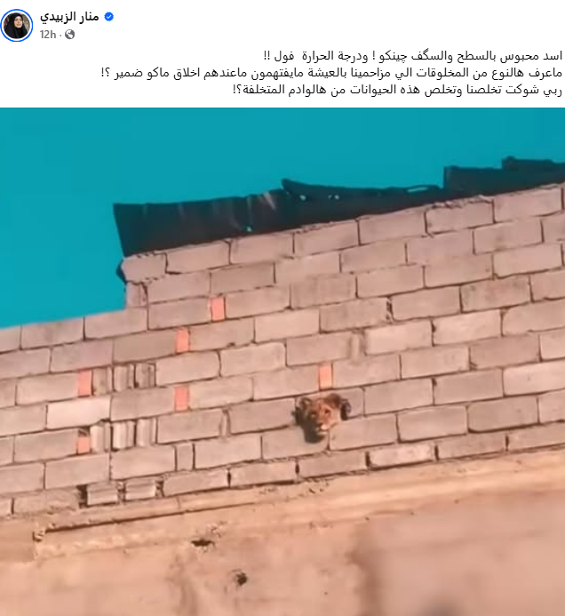 منشور أحد المعلقين 