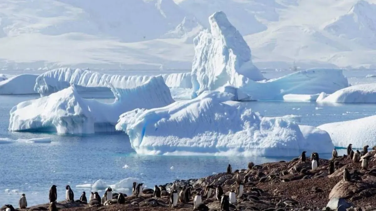علماء يحذرون من ذوبان "حتمي" للغطاء الجليدي في أنتاركتيكا
