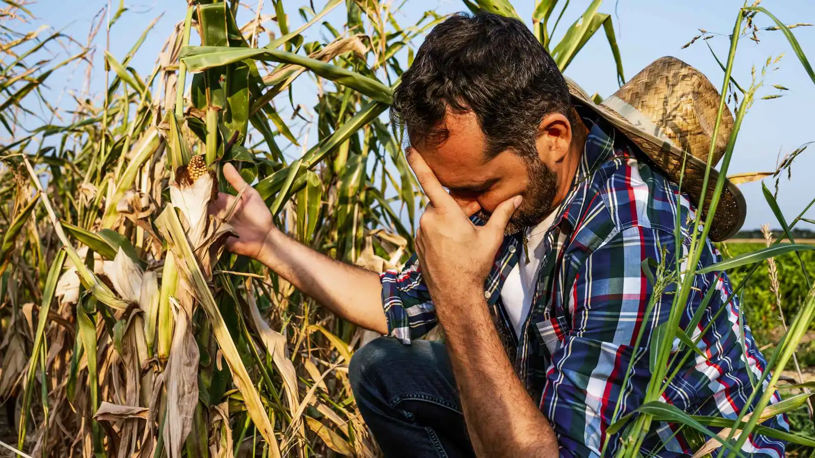 علاقة غريبة بين التغيرات المناخية والأفكار الانتحارية