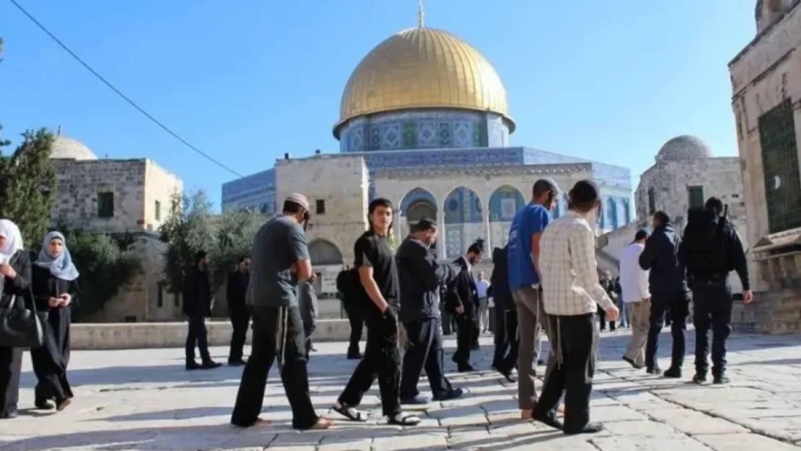 مع استمرار عمليات الجيش في الضفة.. مستوطنون يقتحمون "الأقصى" (فيديو)