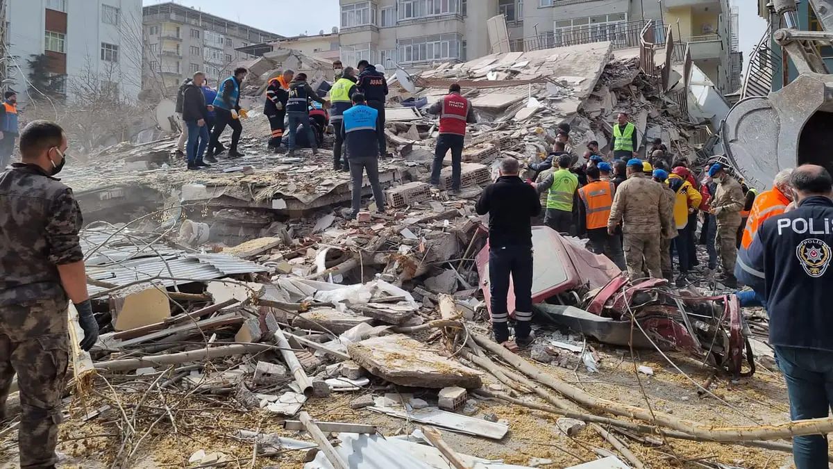 إنقاذ كلب من تحت الأنقاض بعد مرور 22 يومًا على زلزال تركيا المُدمر