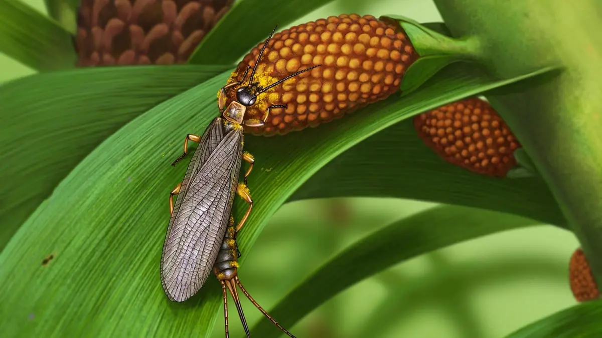 اكتشاف حشرات مغطاة بحبوب اللقاح منذ 280 مليون عام