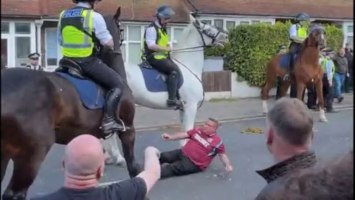 مشجع وست هام يصطدم بحصان الشرطة بعد الخسارة أمام كريستال بالاس (فيديو)