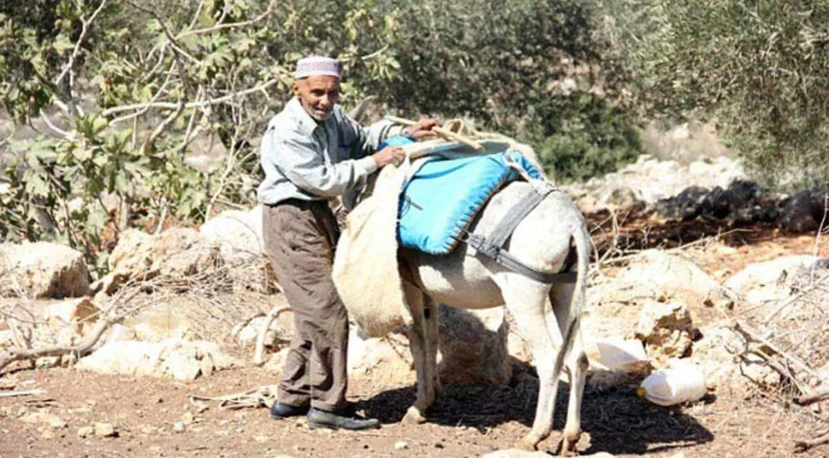 وفاة آخر سكّان عزبة "أبو بصل" الفلسطينيّة