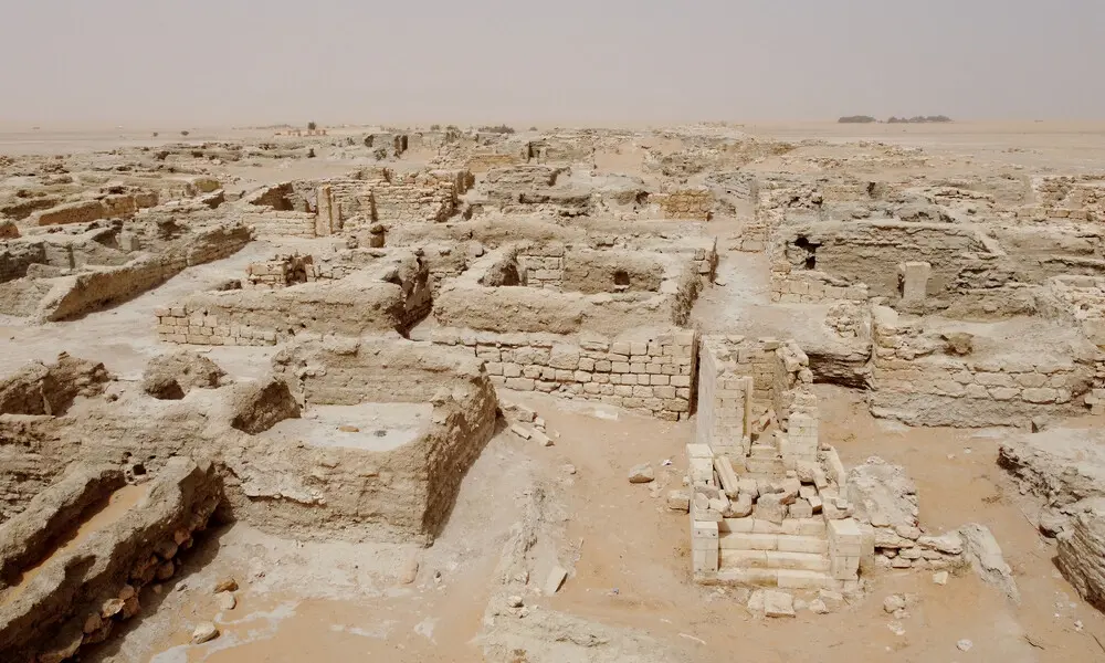 الفاو