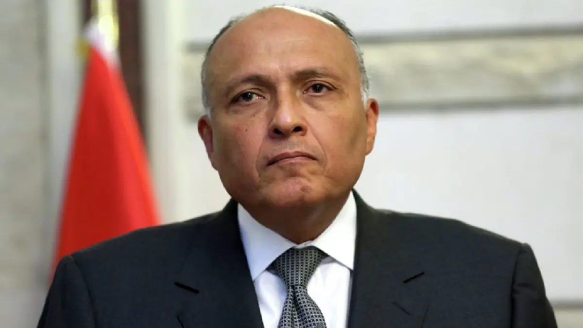 سامح شكري يبحث مع بيدرسون جهود إنهاء الصراع في سوريا