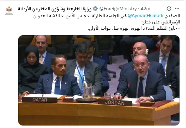 أيمن الصفدي خلال كلمته في مجلس الأمن