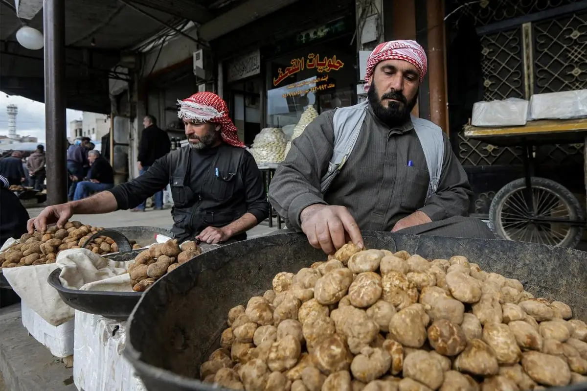 سوريا.. مقتل 14 شخصا إثر انفجار لغم خلال جمعهم الكمأة