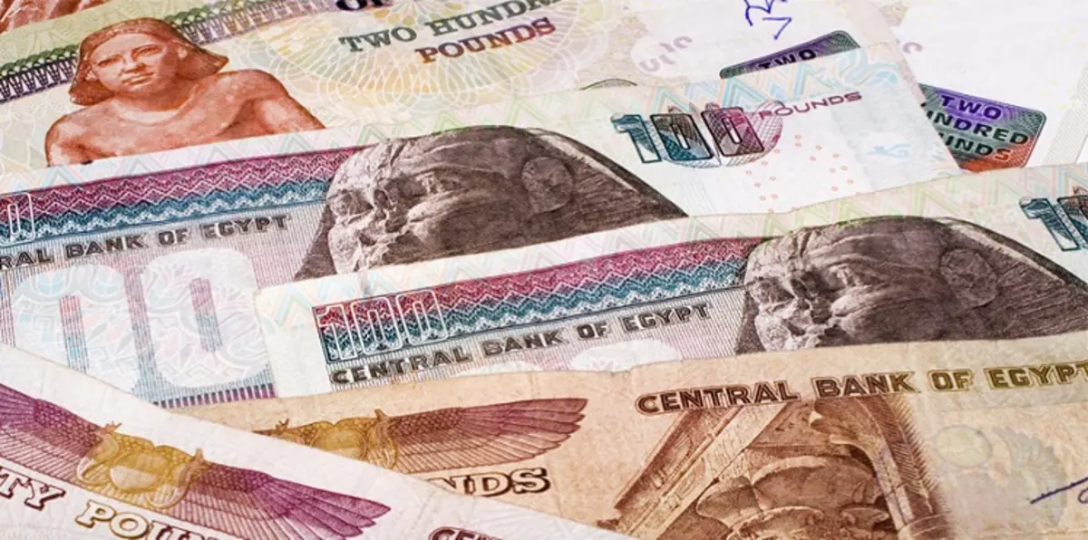 استقرار الجنيه المصري بالعطاء الدوري وارتفاعه بالسوق السوداء