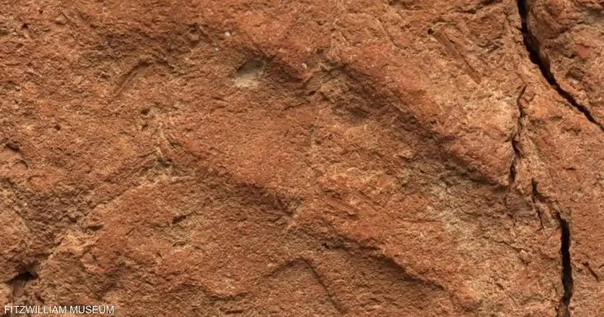 بصمة اليد المصرية