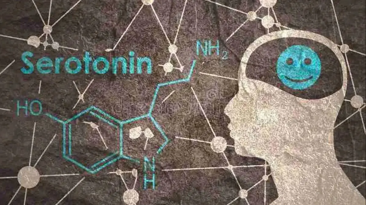  آخر الدراسات حول "هرمون السعادة" السيروتونين 