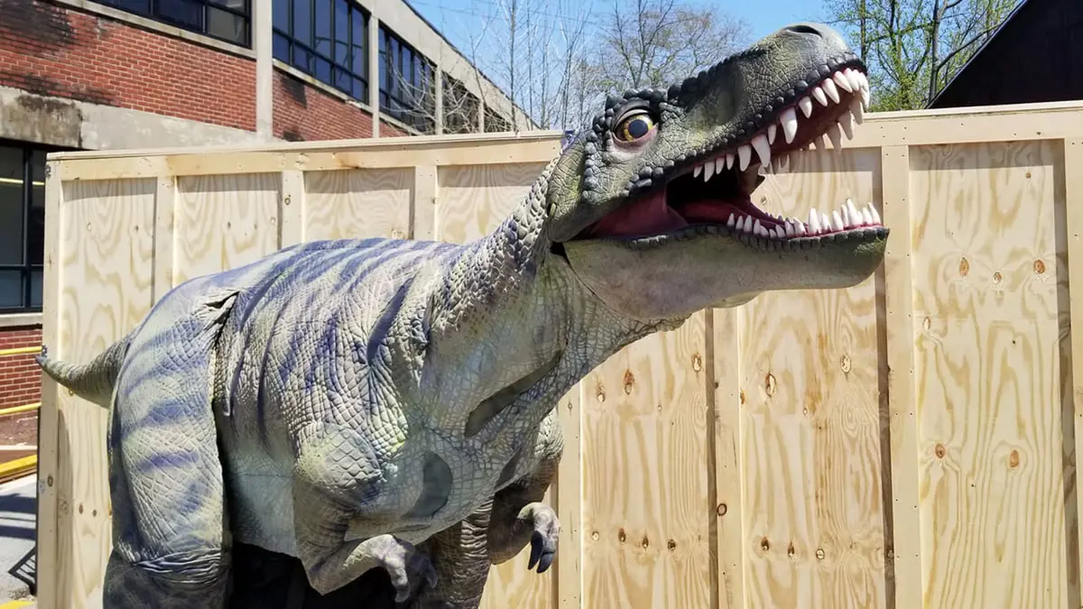 مشاركة قياسية في "سباق الديناصورات" بواشنطن (فيديو)