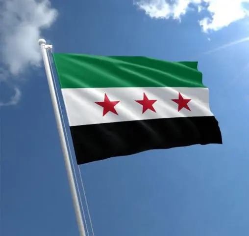 علم الثورية السورية على صفحة الفنانة أصالة نصري