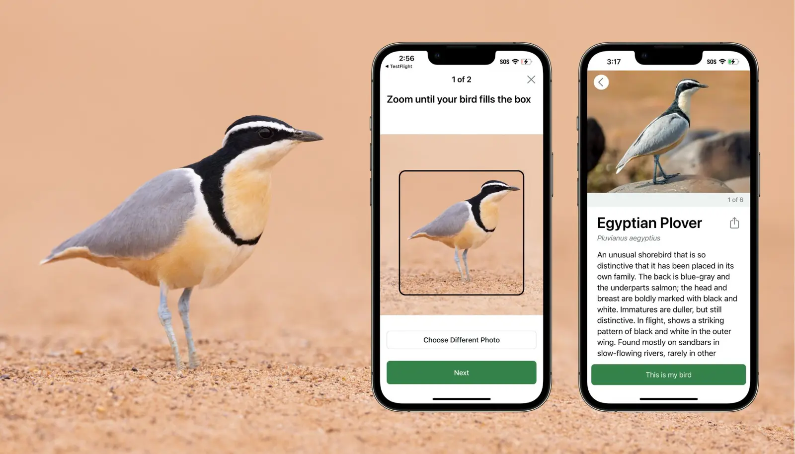 تطبيق خاص بالطيور