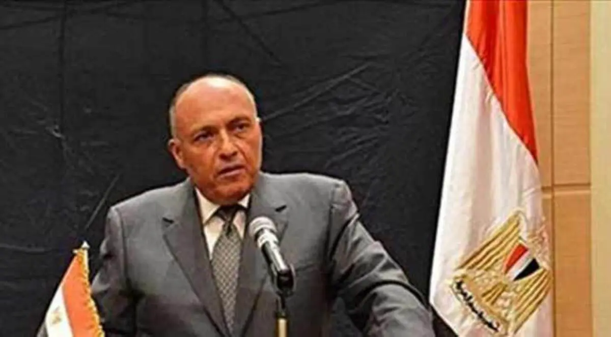 وزير خارجية مصر في جولة أوروبية لبحث التعاون الاقتصادي
