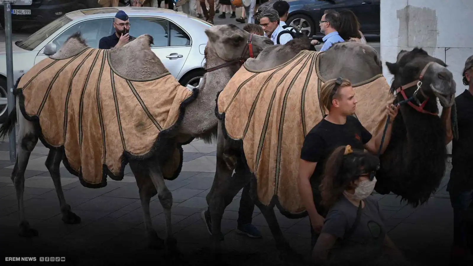 مسيرة الإبل في بودابست