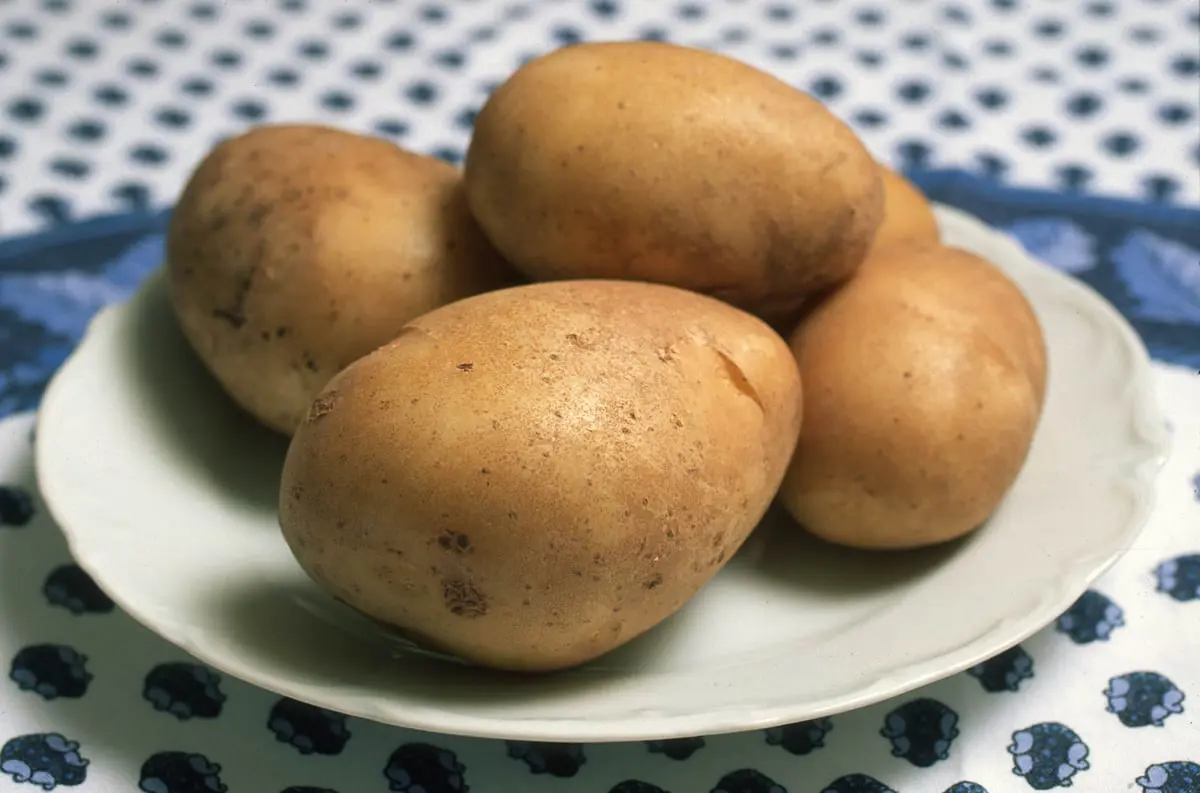 هل تفيد البطاطس في الحد من الإصابة بأمراض القلب؟