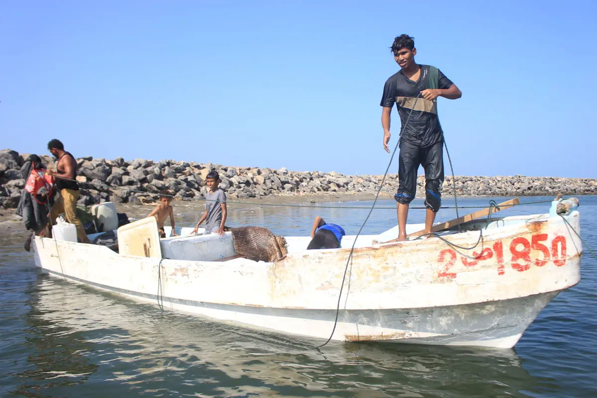 العثور على جثث 8 صيادين يمنيين في إحدى جزر البحر الأحمر‎