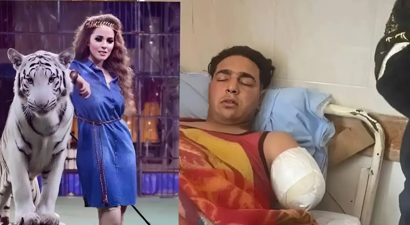 أنوسة كوتة وعامل السيرك المصاب