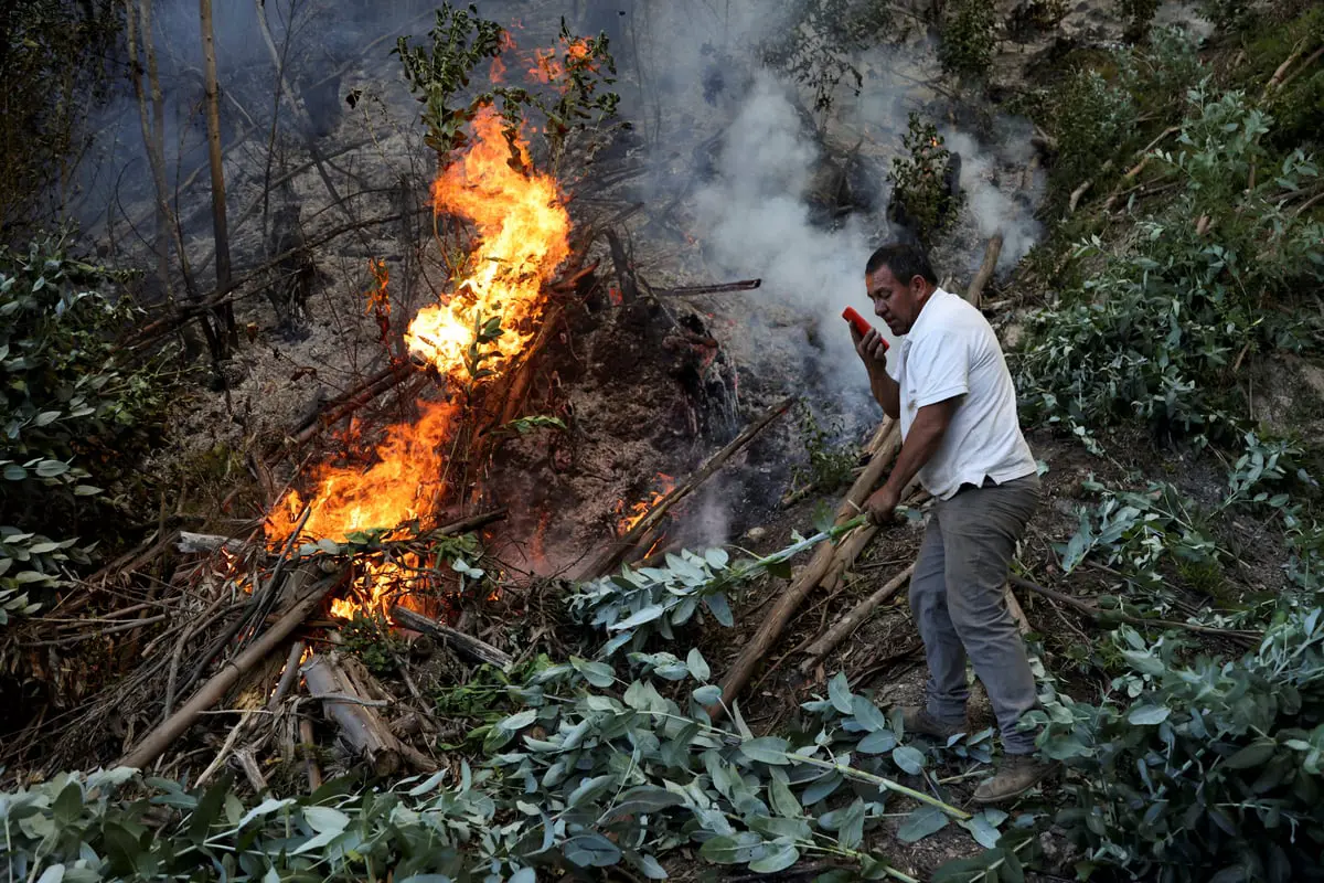 حرائق الغابات في كولومبيا أتت حتى الآن على أكثر من 17 ألف هكتار