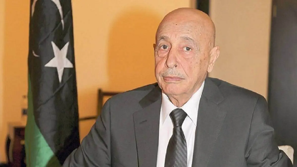 البرلمان الليبي يمنح الجيش المصري حق التدخل لمواجهة "الغزو التركي"