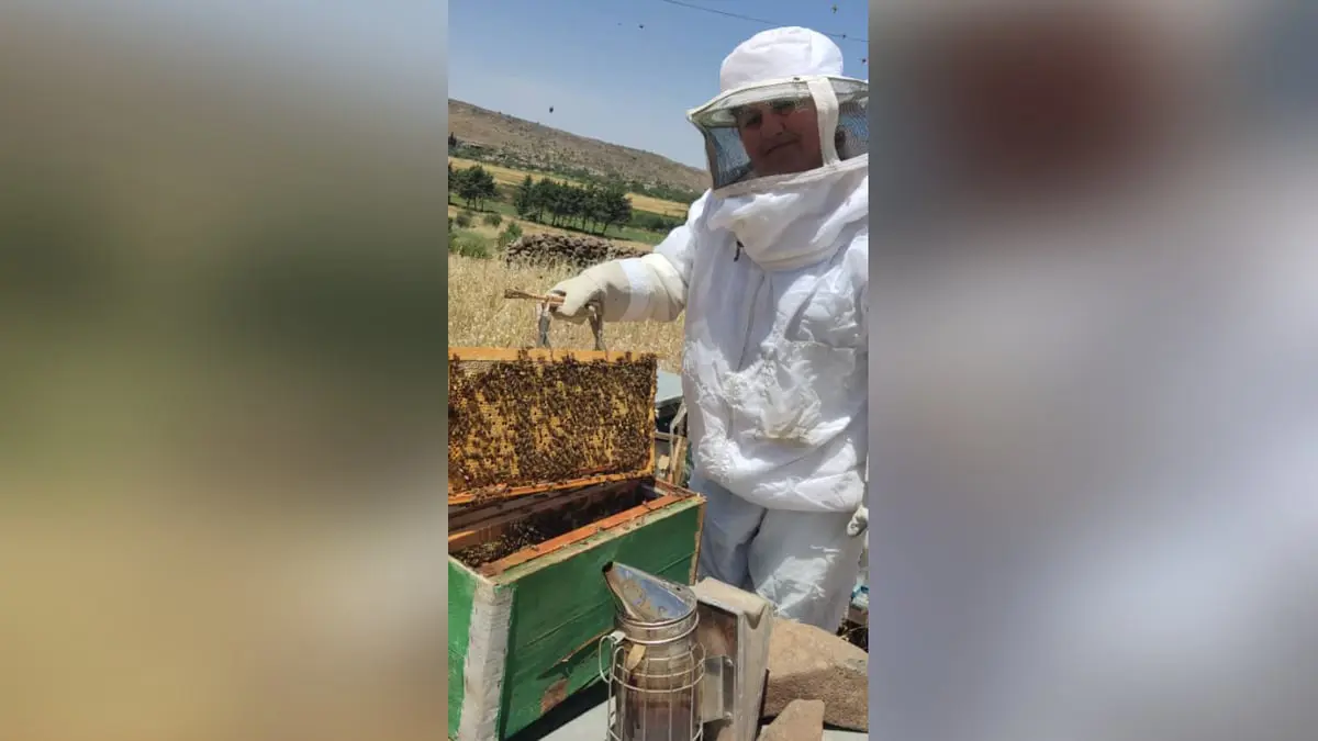 تحلم بامتلاك 100 خلية.. تعرف على أشهر مربيات النحل في سوريا