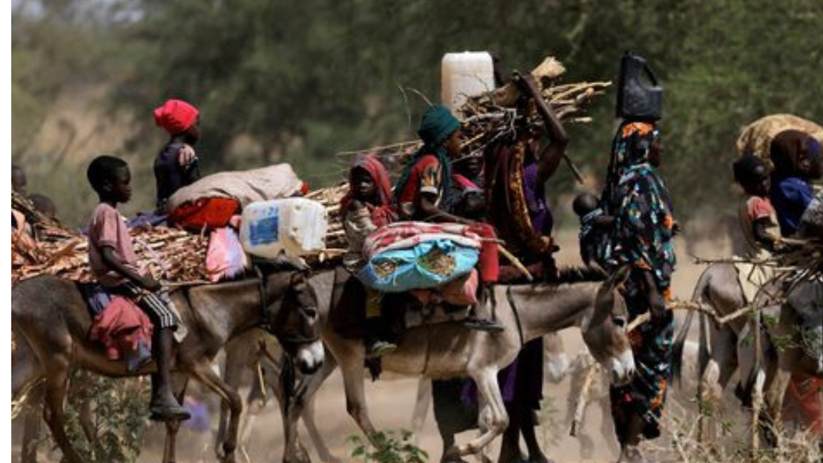 تقديرات: 25 شخصًا يموتون جوعًا يوميًا في إقليم دارفور بالسودان