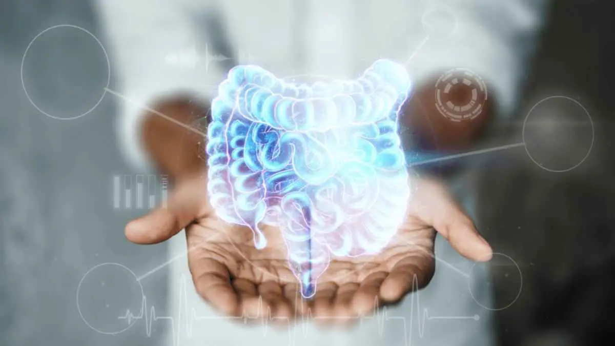 "الدماغ الأول".. 90% من هرمون السعادة يُنتج في الأمعاء