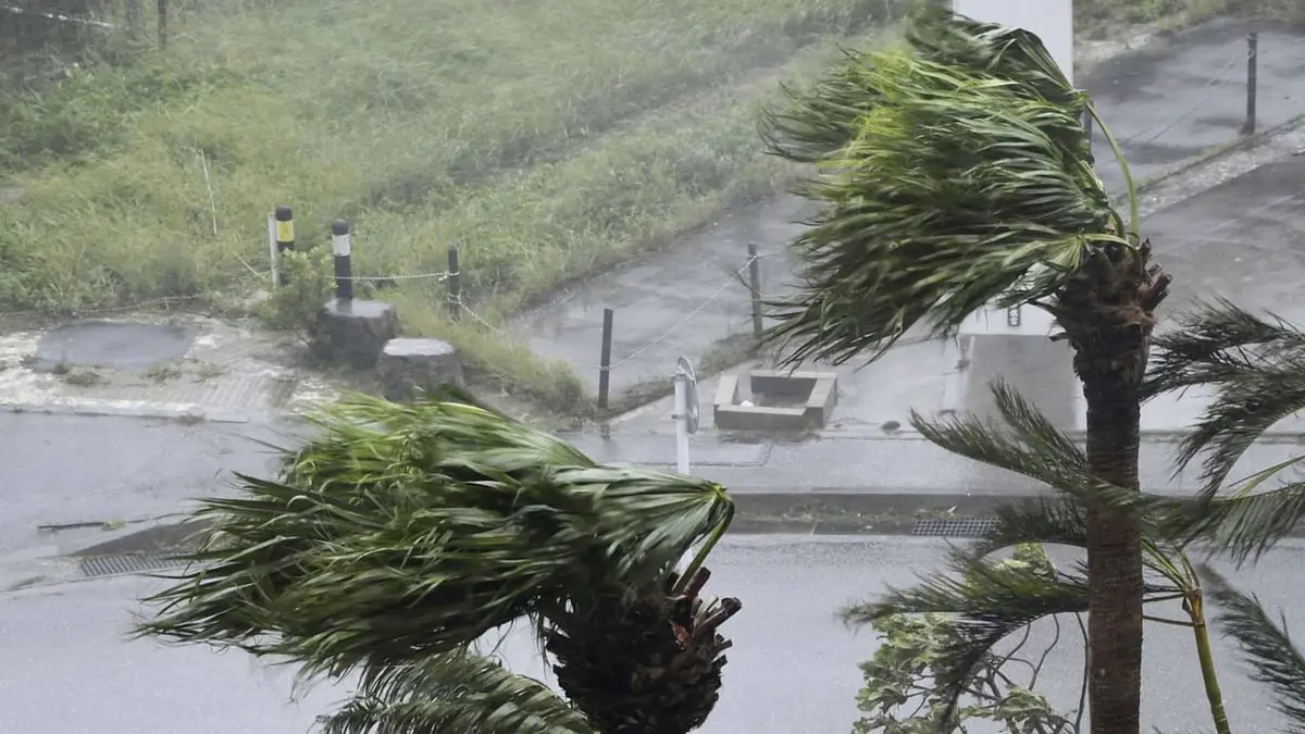 ضربة قاصمة لشركات الطيران الأمريكية بسبب الإعصار "إداليا" 