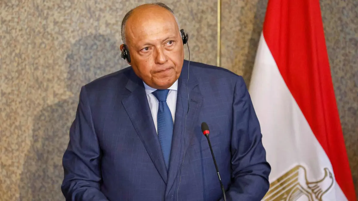 مصر تُطالب بتمثيل "عادل" لأفريقيا في مجلس الأمن