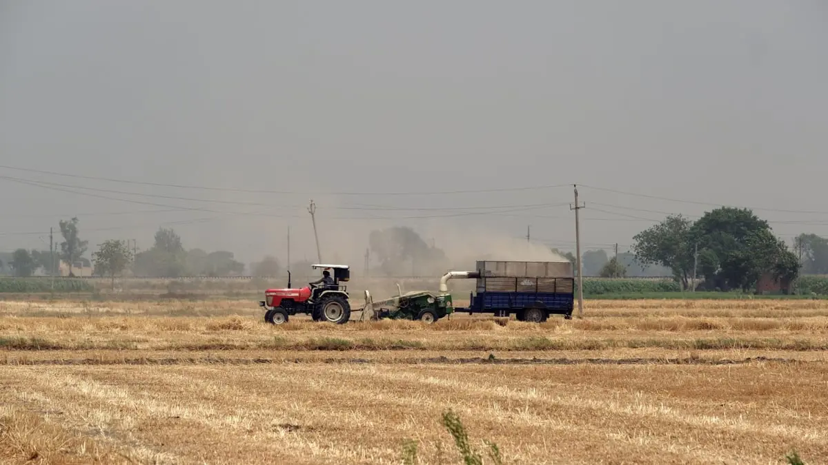 انتقادات دولية لقرار الهند حظر صادرات القمح