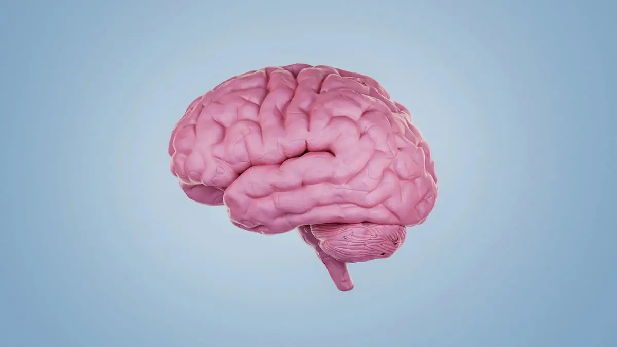 3dbaa65e-c0b2-40ae-8161-5c004c746c32
