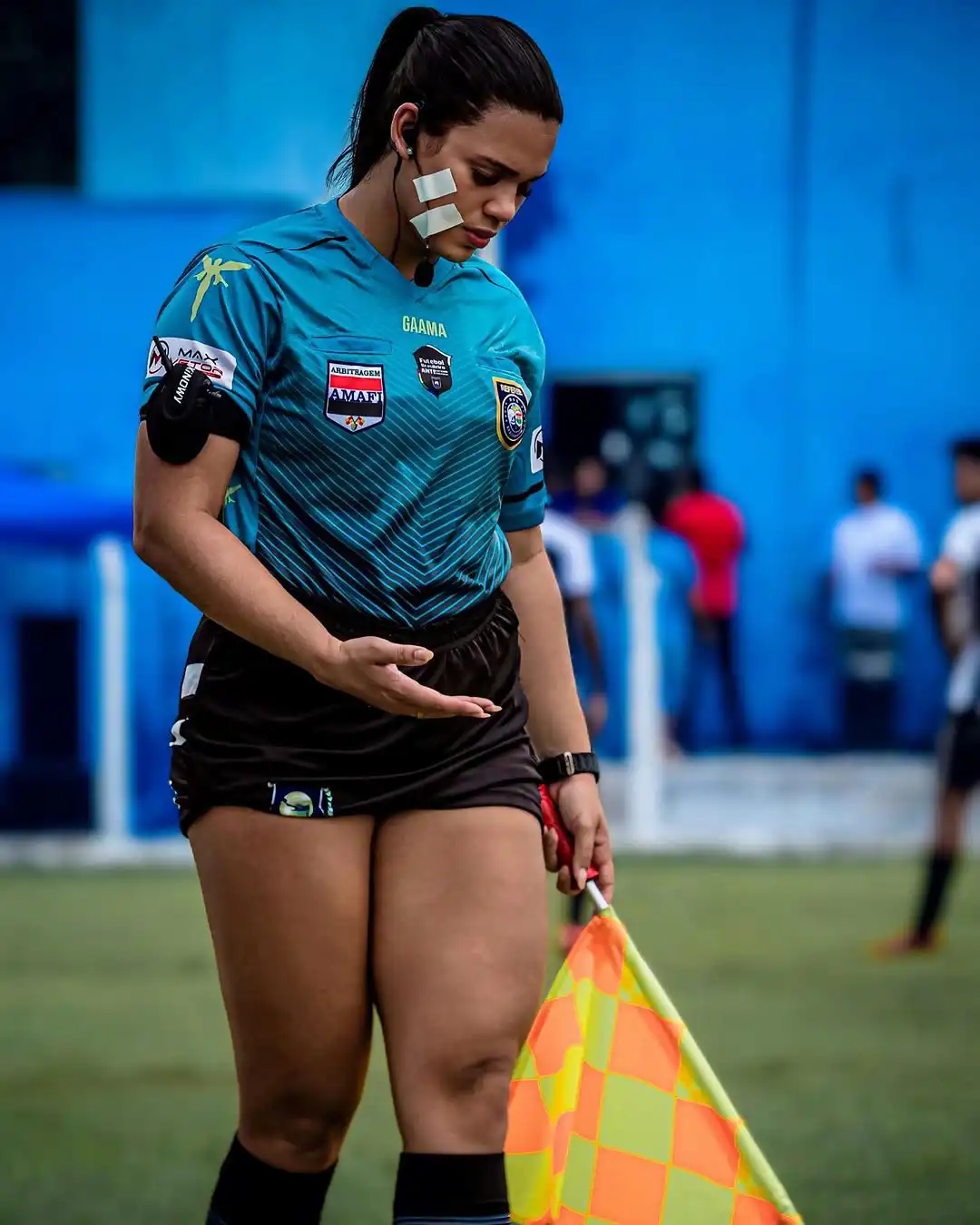 لاريسا هيرلانا