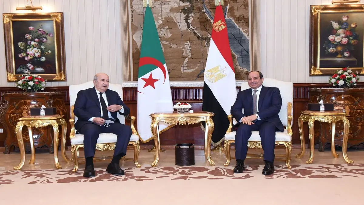 قمة السيسي وتبون.. توافق بشأن قضية سد النهضة وإجراء الانتخابات الليبية