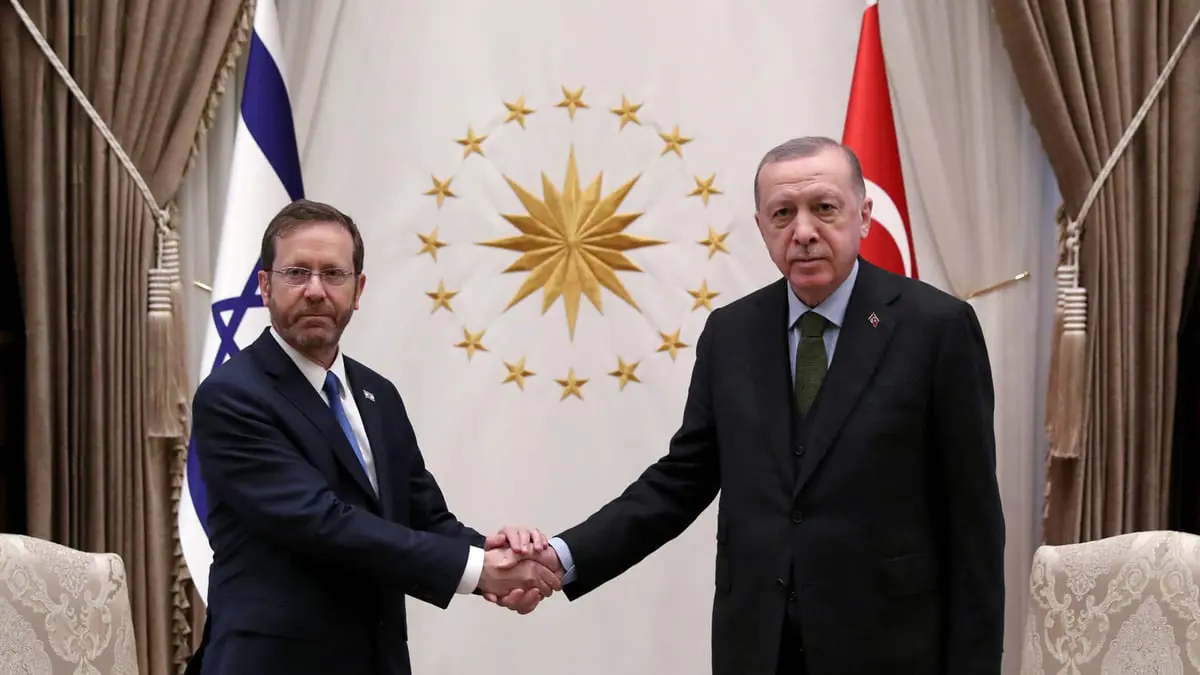 تقرير عبري: أردوغان قد يطلب من نشطاء حماس الصغار المغادرة إلى لبنان أو قطر