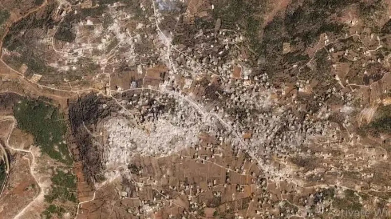 رامية