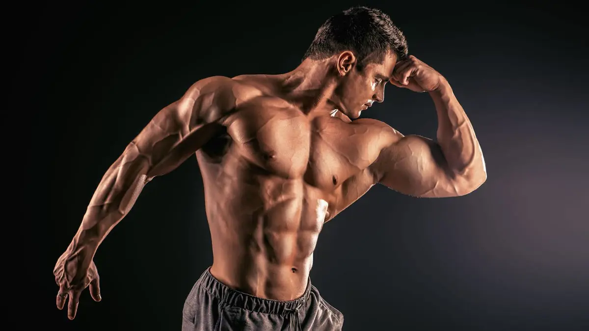 هل تتحول العضلات إلى دهون بعد التوقف عن الرياضة؟