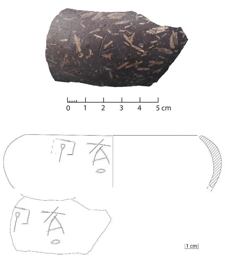 4b69dd20-c23d-45e7-9d36-b1a889723e19