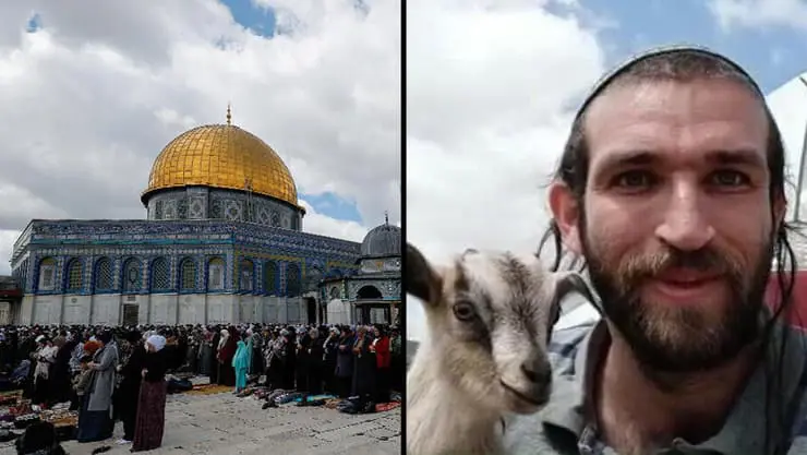 المستوطن المتشدد رافائيل موريس