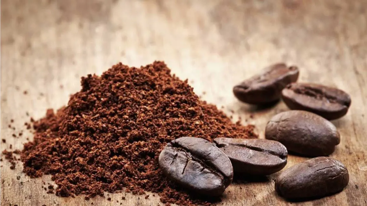علاج جديد للزهايمر وباركنسون من بقايا القهوة