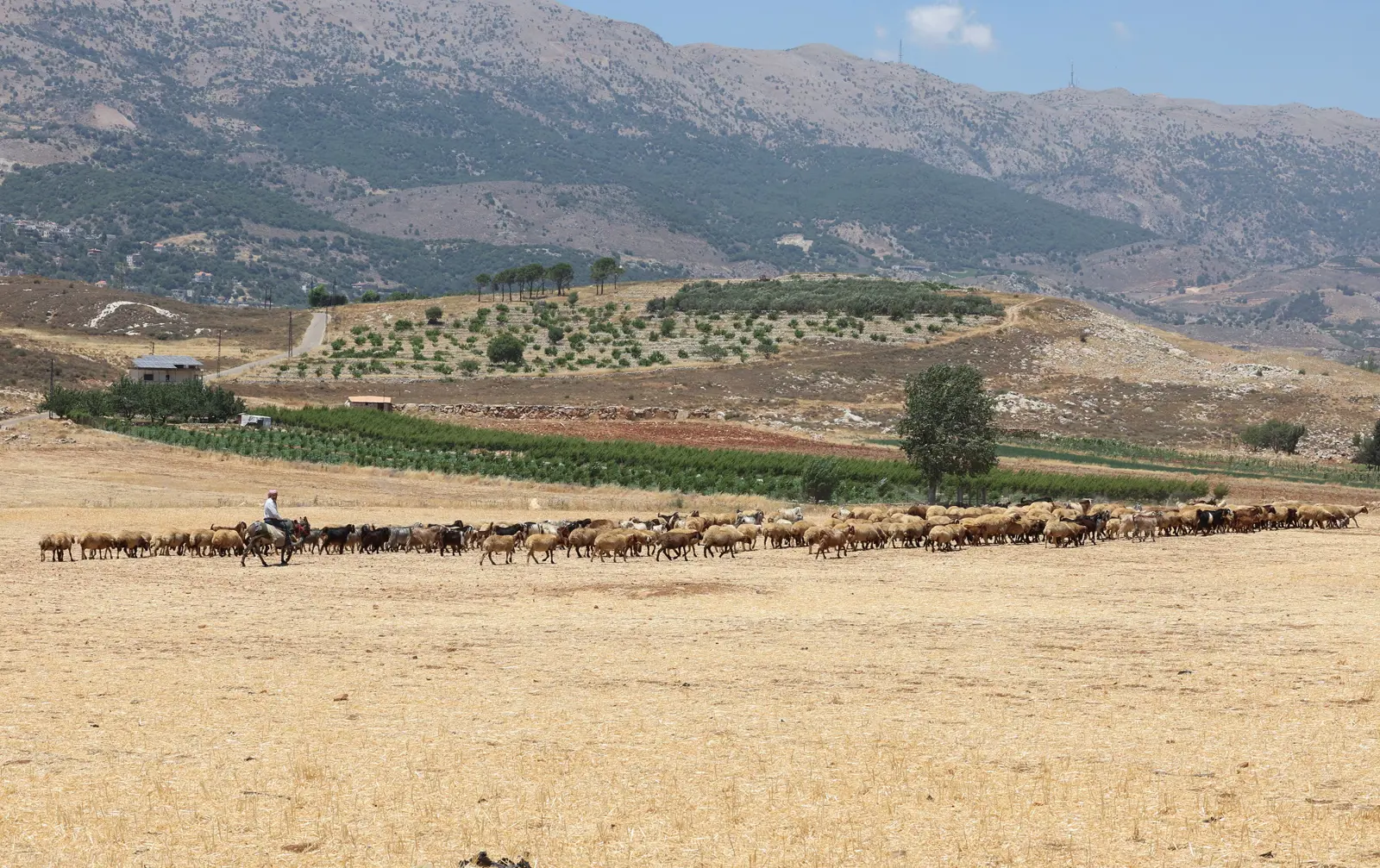 أثار الجفاف في لبنان