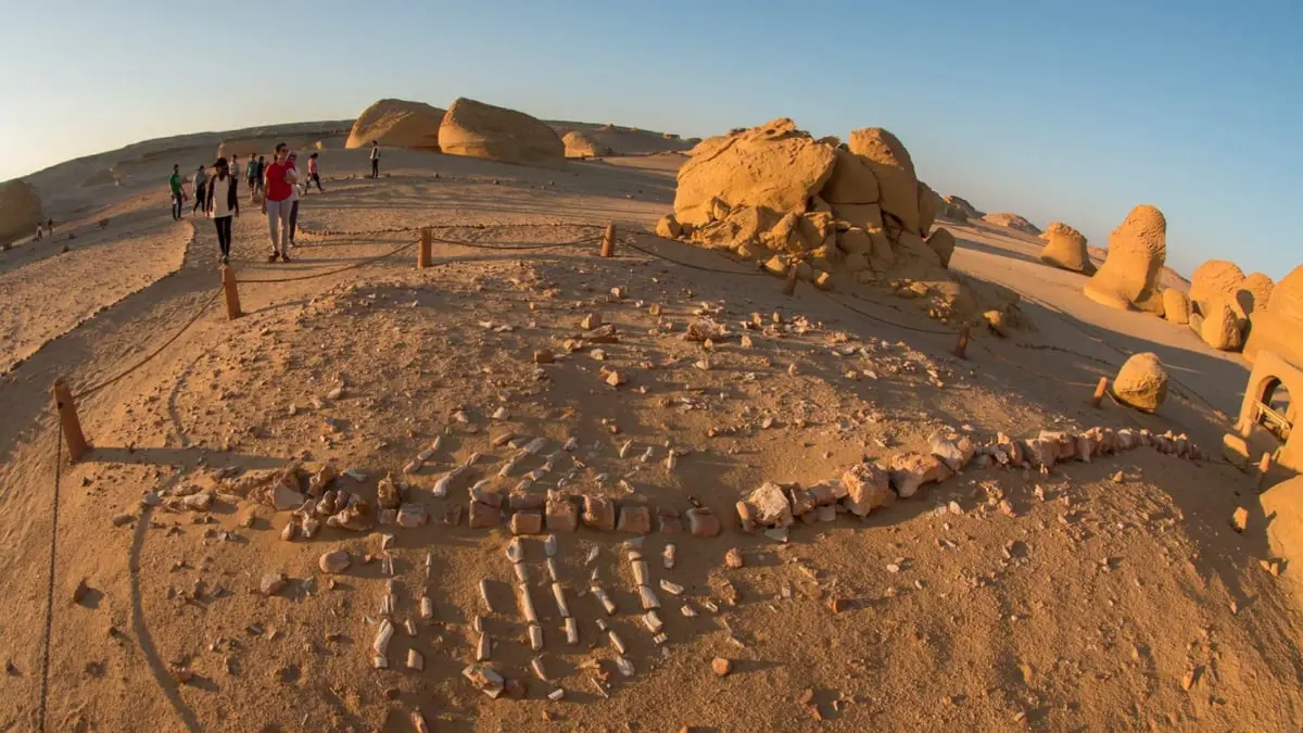 "وادي الحيتان".. كيف تحول إلى أغرب المتاحف المصرية المفتوحة؟  