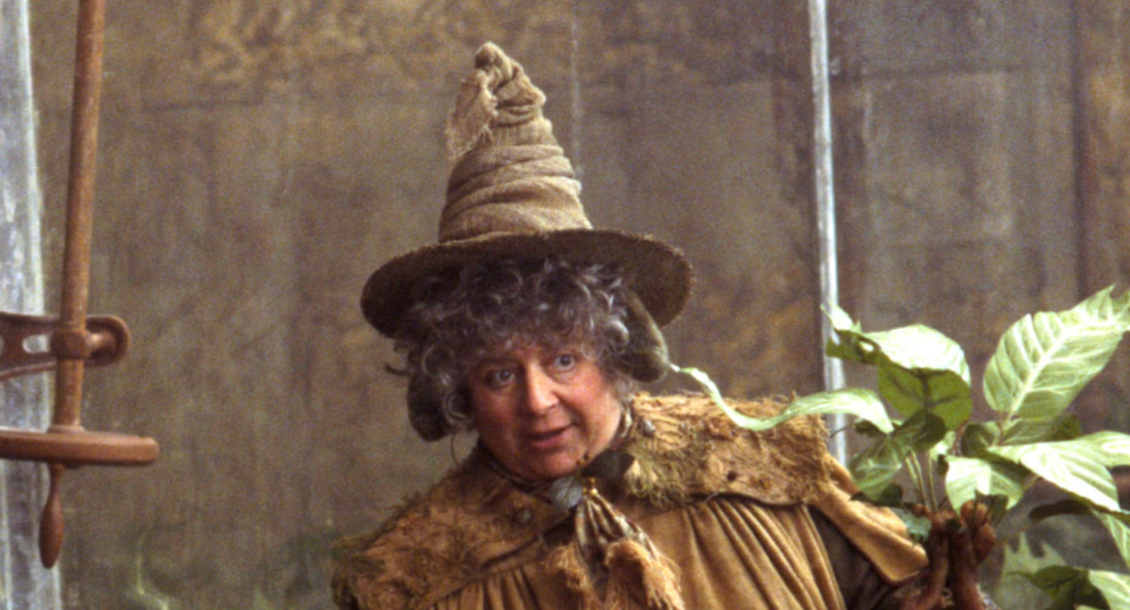 الممثلة البريطانية المخضرمة ميريام مارغوليس