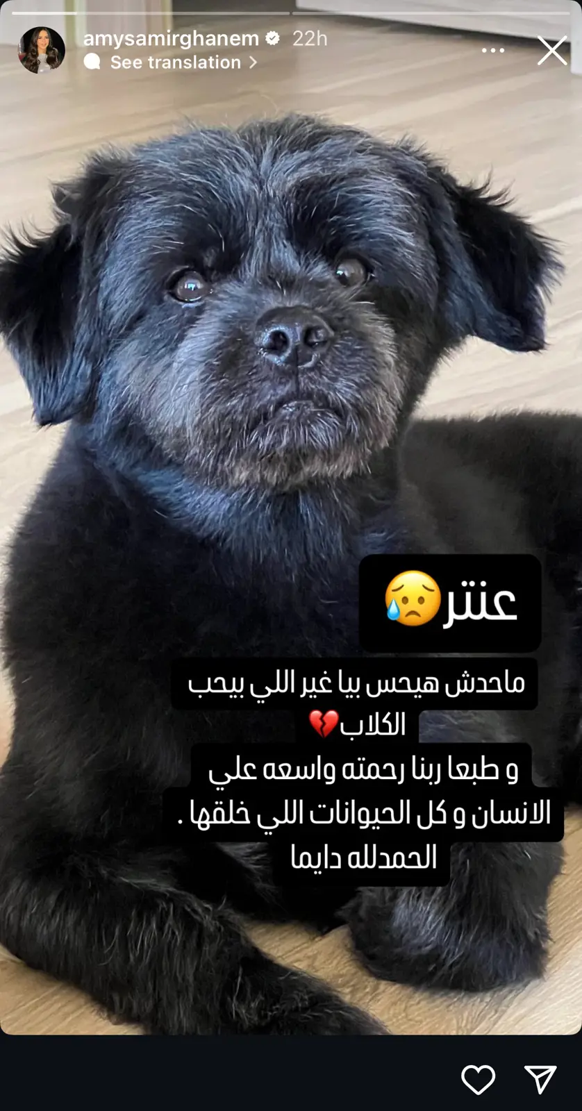 منشور إيميل سمير غانم